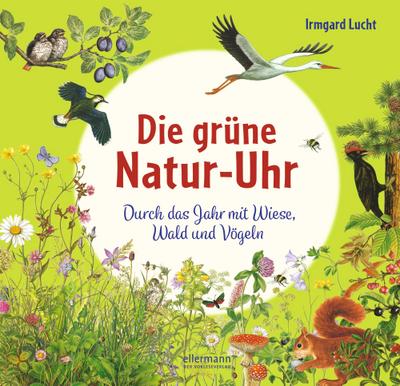 Die grüne Natur-Uhr: Durch das Jahr mit Wiese, Wald und Vögeln