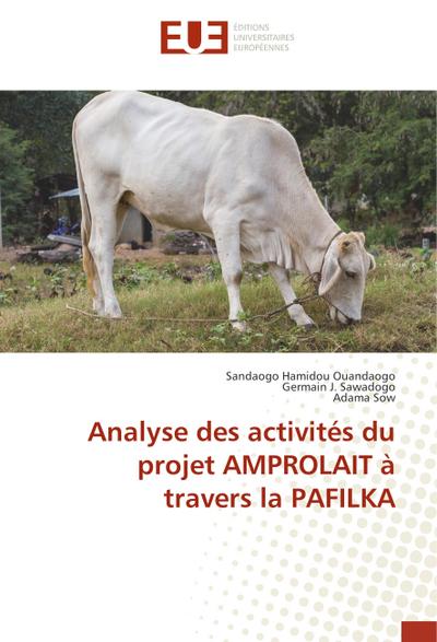 Analyse des activités du projet AMPROLAIT à travers la PAFILKA