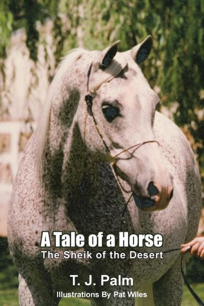 A Tale of a Horse: The Sheik of the Desert