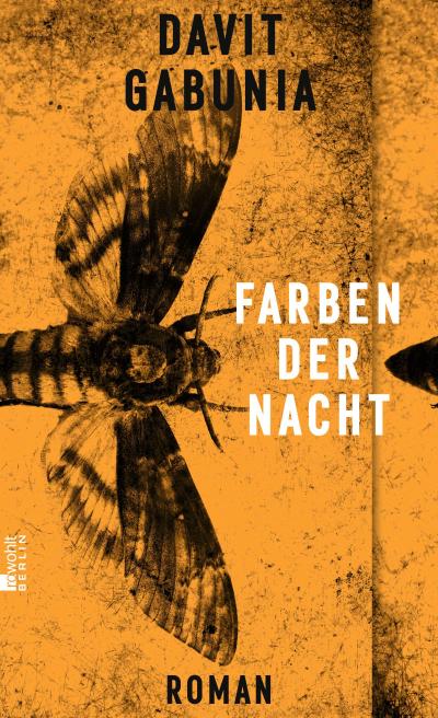 Farben der Nacht: Roman