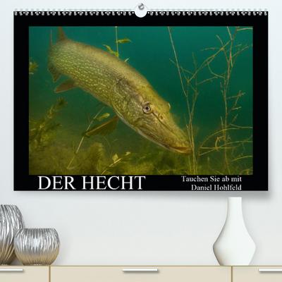 Der Hecht - Tauchen Sie ab mit Daniel Hohlfeld (Premium, hochwertiger DIN A2 Wandkalender 2020, Kunstdruck in Hochglanz): Tauchen Sie ab und erleben ... (Monatskalender, 14 Seiten ) (CALVENDO Tiere)