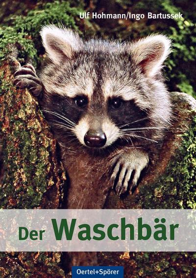 Der Waschbär