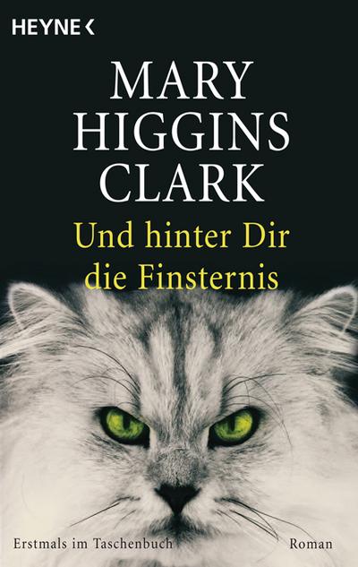 Und hinter dir die Finsternis: Roman