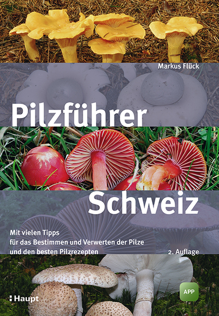 Pilzführer Schweiz Markus Flück - Afbeelding 1 van 1
