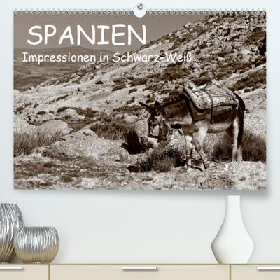 Spanien Impressionen in Schwarz-Weiß(Premium, hochwertiger DIN A2 Wandkalender 2020, Kunstdruck in Hochglanz): Spanien - mehr als nur Sonne und Strand (Monatskalender, 14 Seiten ) (CALVENDO Natur)