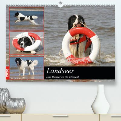 Landseer - Das Wasser ist ihr Element(Premium, hochwertiger DIN A2 Wandkalender 2020, Kunstdruck in Hochglanz)