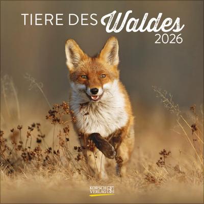 Tiere des Waldes 2026