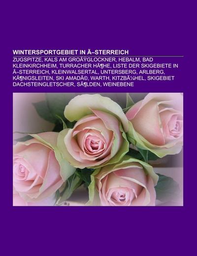 Wintersportgebiet in Österreich