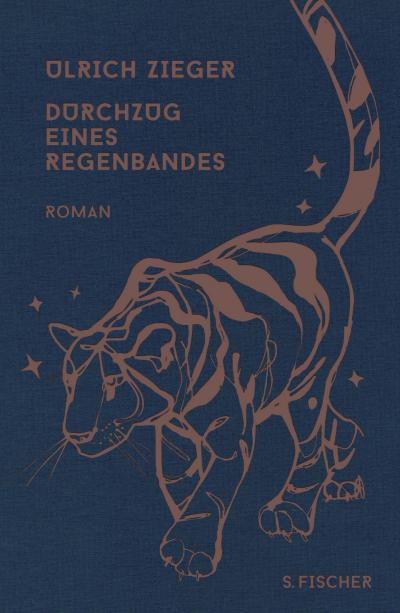 Durchzug eines Regenbandes: Roman