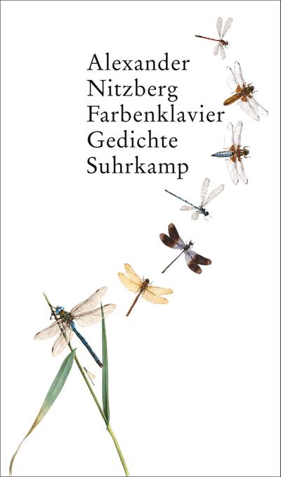 Farbenklavier: Gedichte