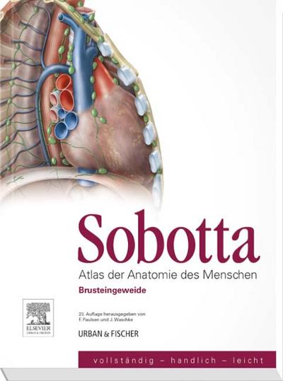 Sobotta, Atlas der Anatomie des Menschen Heft 4: Brusteingeweide