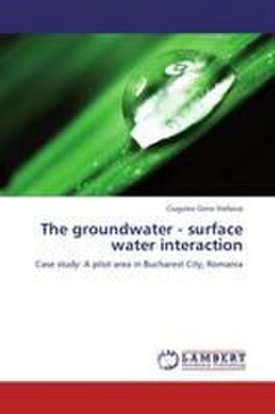 The groundwater - surface water interaction