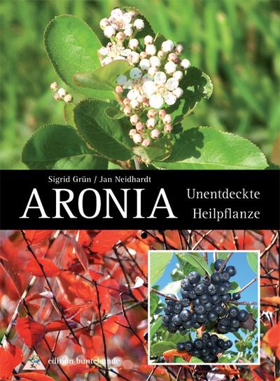 Aronia: Unentdeckte Heilpflanze