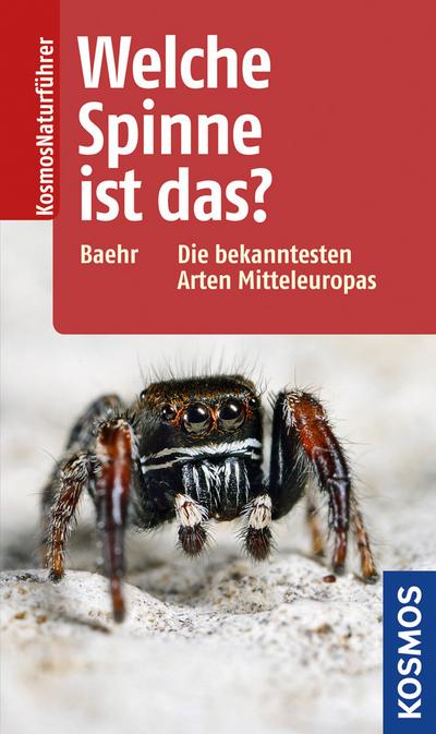 Welche Spinne ist das?: Die bekanntesten Arten Mitteleuropas