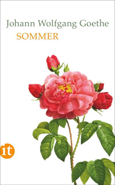 Sommer (insel taschenbuch)