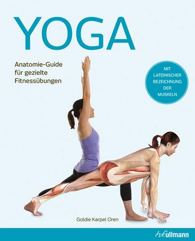 Yoga: Anatomie-Guide für gezielte Fitnessübungen