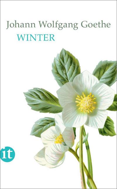 Winter (insel taschenbuch)