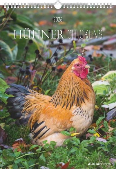 Hühner Kalender im Format  29,7 x 42