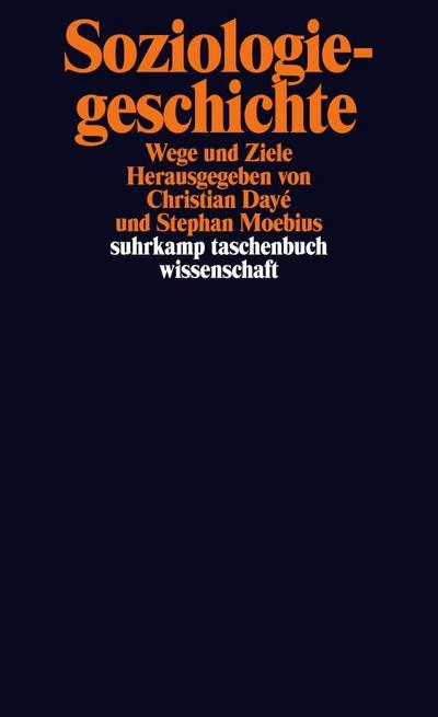 Soziologiegeschichte: Wege und Ziele (suhrkamp taschenbuch wissenschaft)