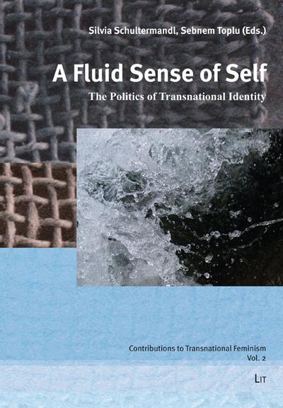 A Fluid Sense of Self: The Politics of Transnational Identity (Contributions to Asian American Literary Studies, Band 2)