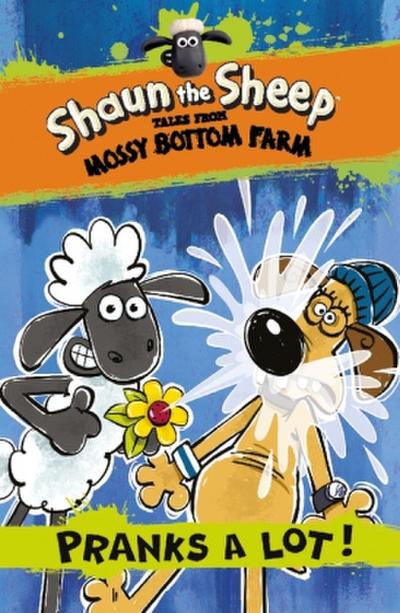 Shaun the Sheep: Pranks a Lot! (Shaun the Sheep - Tales from Mossy Bottom Farm)