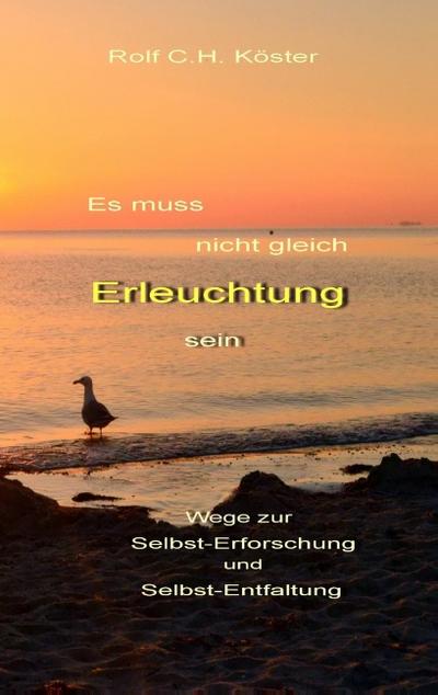 Es muss nicht gleich Erleuchtung sein: Wege zur Selbst-Erforschung und Selbst-Entfaltung