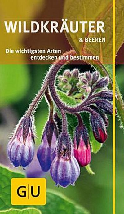 Wildkräuter und Beeren: Die wichtigsten Arten entdecken und bestimmen (GU Naturführer 2012)