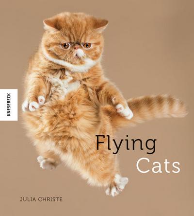 Flying Cats: Katzen in der Luft  originelle Fotos grandioser Katzen-Sprünge