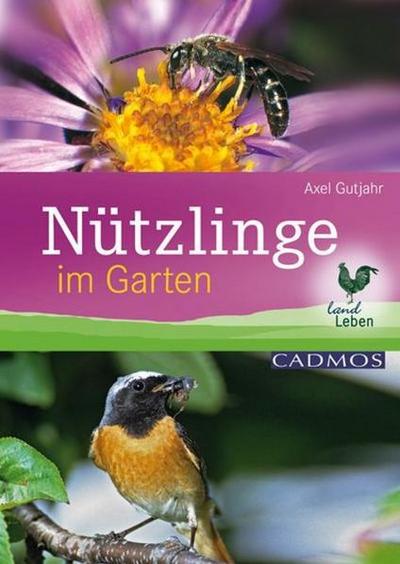 Nützlinge im Garten