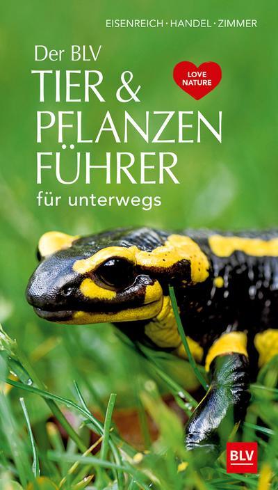 Der BLV Tier & Pflanzenführer: für unterwegs
