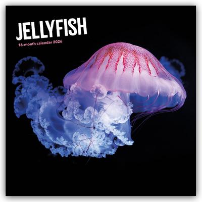 Jellyfish - Quallen 2026 - Wand-Kalender