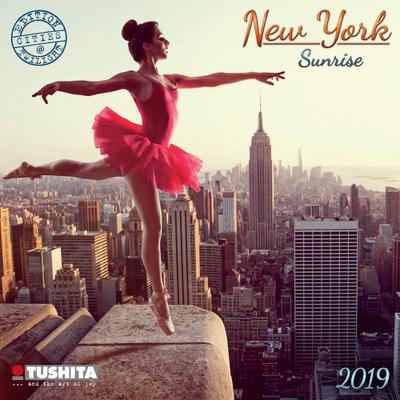 New York Sunrise 2019: Kalender 2019 (Mini-Calendar 17x17cm)
