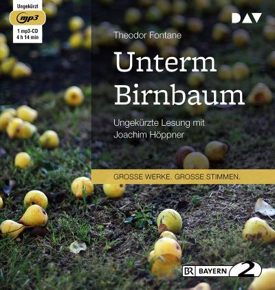 Unterm Birnbaum: Ungekürzte Lesung (1 mp3-CD)