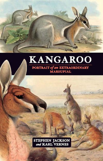 Kangaroo