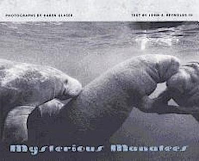 Mysterious Manatees
