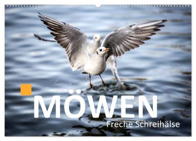 MÖWEN Freche Schreihälse (Wandkalender 2026 DIN A2 quer), CALVENDO Monatskalender