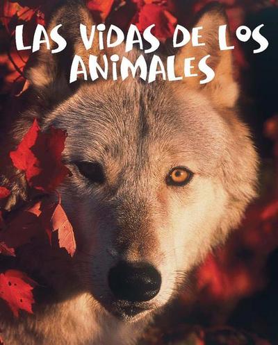 Las Vidas de Los Animales