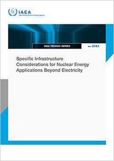 Specific Infrastructure Considerations for Nuclear Energy Applications Beyond Electricity