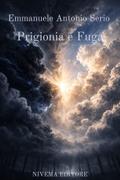 Prigionia e Fuga