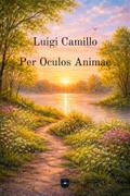 Per Oculos Animae