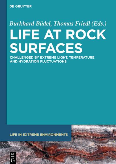 Life at Rock Surfaces