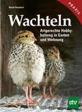 Wachteln