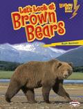 Let’s Look at Brown Bears