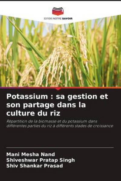 Potassium : sa gestion et son partage dans la culture du riz