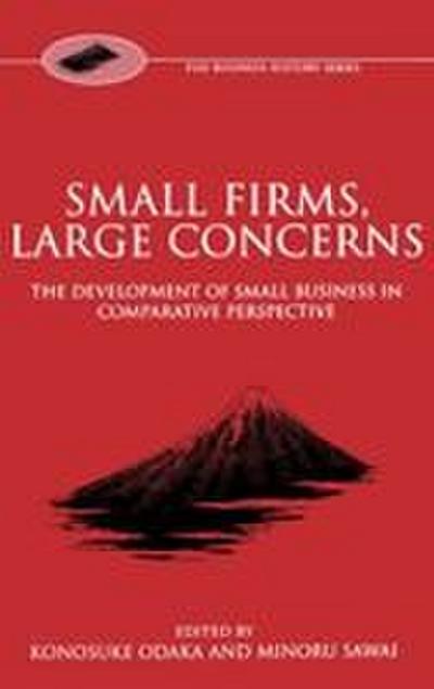 Small Firms, Large Concerns ’The Development of Small Business in Comparative Perspective’