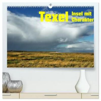 Texel Insel mit Charakter (hochwertiger Premium Wandkalender 2026 DIN A2 quer), Kunstdruck in Hochglanz