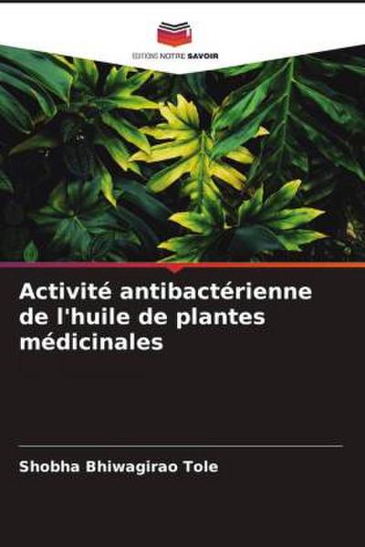 Activité antibactérienne de l’huile de plantes médicinales