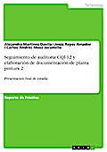 Seguimiento de auditoría CQI-12 y elaboración de documentación de planta pintura 2