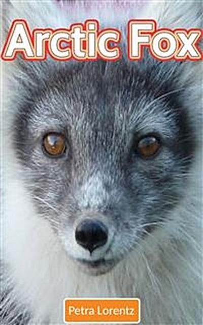 Arctic Fox