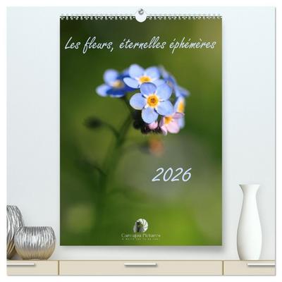 Les fleurs, éternelles éphemères  (Calendrier mural 2026 DIN A2 horizontal) calendrier de bureau